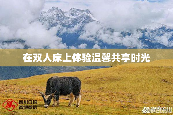 在双人床上体验温馨共享时光