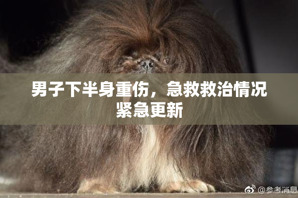 男子下半身重伤，急救救治情况紧急更新