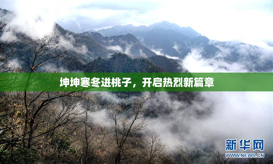 坤坤寒冬进桃子，开启热烈新篇章