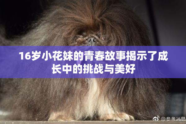 16岁小花妹的青春故事揭示了成长中的挑战与美好