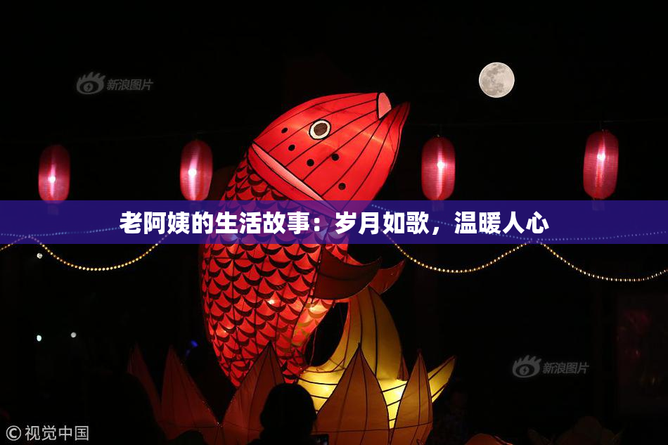 老阿姨的生活故事：岁月如歌，温暖人心