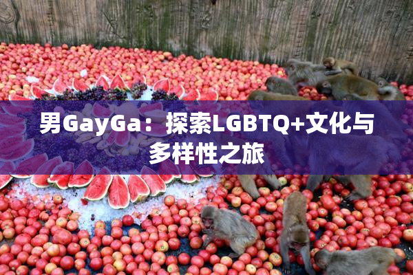 男GayGa：探索LGBTQ+文化与多样性之旅