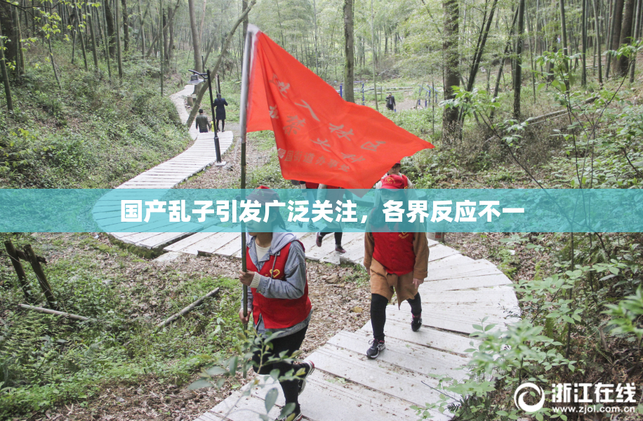 国产乱子引发广泛关注，各界反应不一