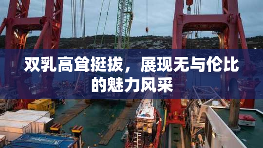 双乳高耸挺拔，展现无与伦比的魅力风采