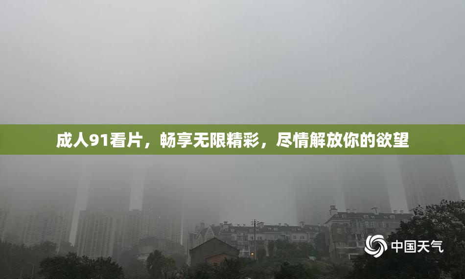 成人91看片，畅享无限精彩，尽情解放你的欲望