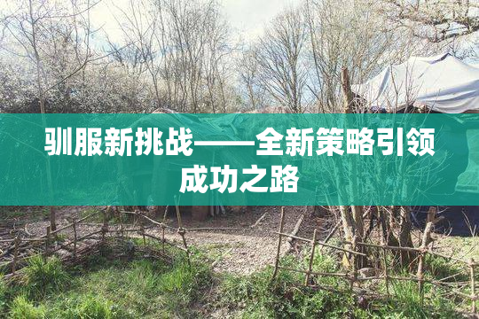 驯服新挑战——全新策略引领成功之路