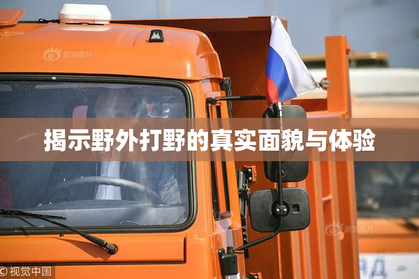 揭示野外打野的真实面貌与体验