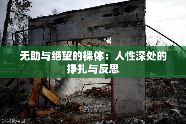 无助与绝望的裸体：人性深处的挣扎与反思