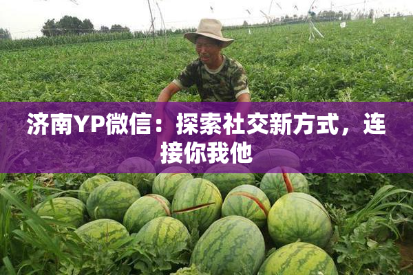 济南YP微信：探索社交新方式，连接你我他