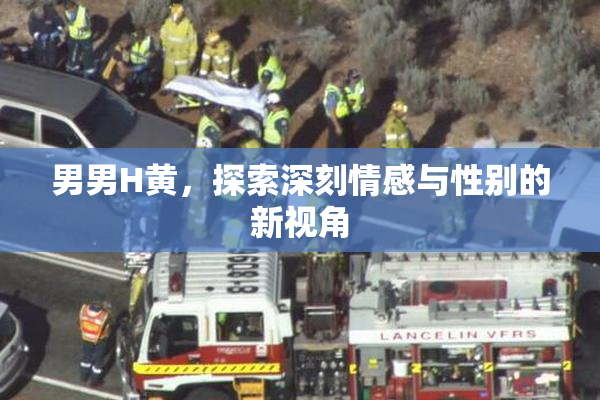 男男H黄，探索深刻情感与性别的新视角