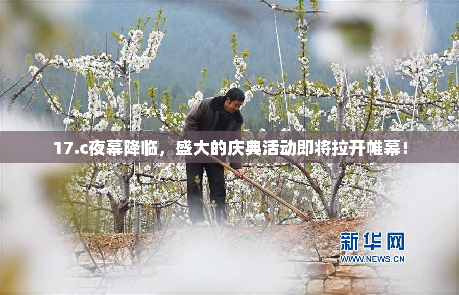 17.c夜幕降临，盛大的庆典活动即将拉开帷幕！