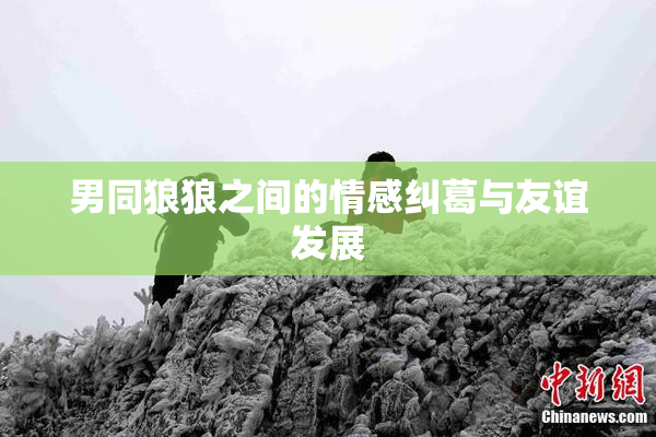男同狼狼之间的情感纠葛与友谊发展
