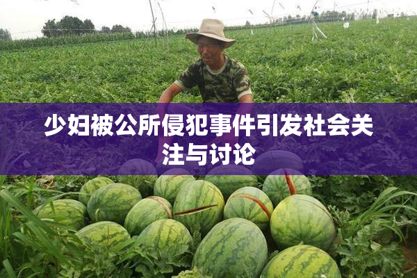 少妇被公所侵犯事件引发社会关注与讨论