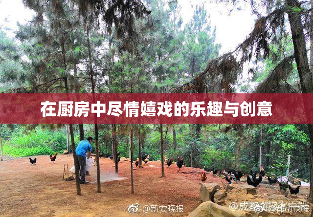 在厨房中尽情嬉戏的乐趣与创意