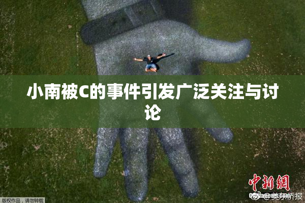 小南被C的事件引发广泛关注与讨论