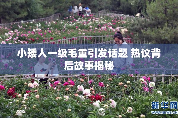 小矮人一级毛重引发话题 热议背后故事揭秘