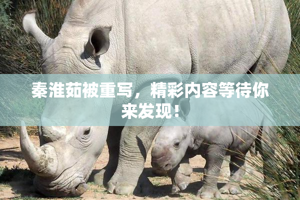 秦淮茹被重写，精彩内容等待你来发现！