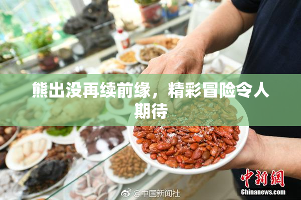 熊出没再续前缘，精彩冒险令人期待