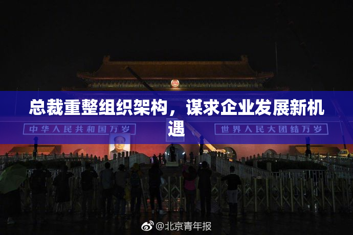 总裁重整组织架构，谋求企业发展新机遇