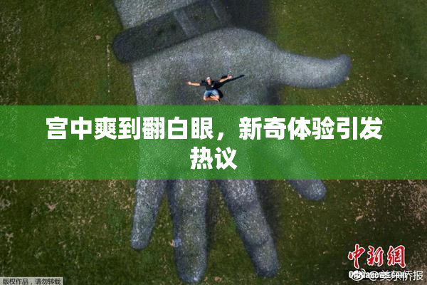 宫中爽到翻白眼，新奇体验引发热议