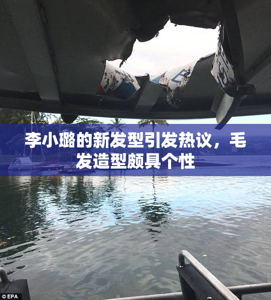 李小璐的新发型引发热议，毛发造型颇具个性