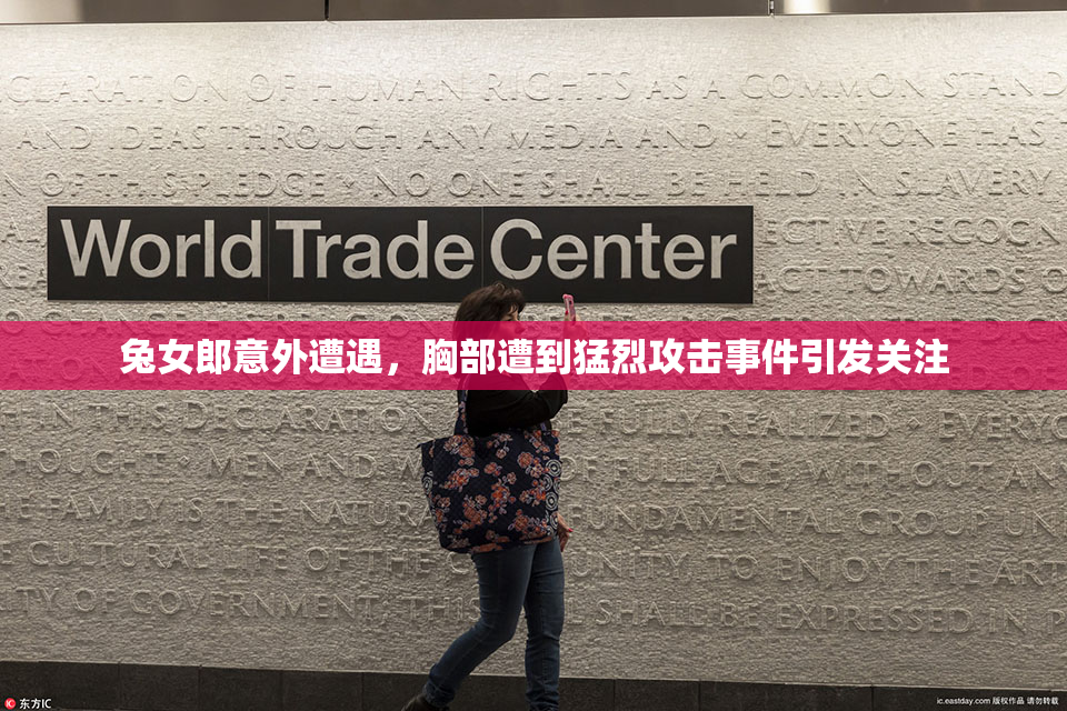 兔女郎意外遭遇，胸部遭到猛烈攻击事件引发关注