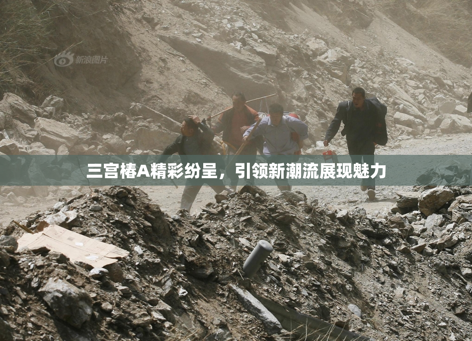 三宫椿A精彩纷呈，引领新潮流展现魅力