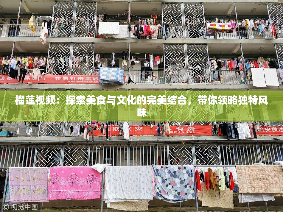 榴莲视频：探索美食与文化的完美结合，带你领略独特风味