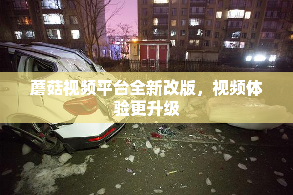 蘑菇视频平台全新改版，视频体验更升级