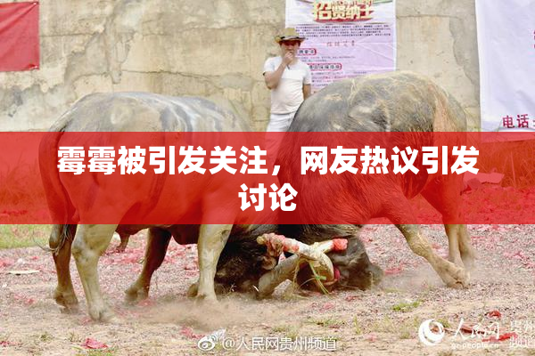 霉霉被引发关注，网友热议引发讨论