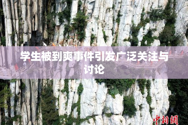 学生被到爽事件引发广泛关注与讨论