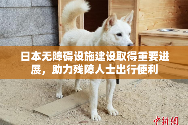 日本无障碍设施建设取得重要进展，助力残障人士出行便利
