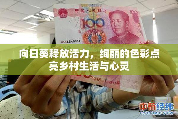 向日葵释放活力，绚丽的色彩点亮乡村生活与心灵
