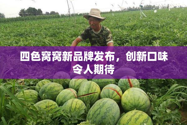 四色窝窝新品牌发布，创新口味令人期待