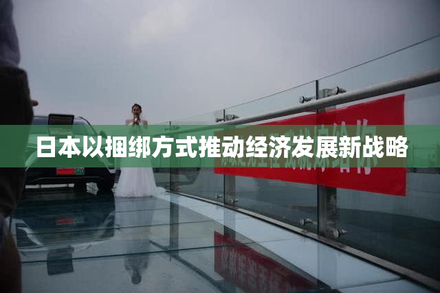 日本以捆绑方式推动经济发展新战略