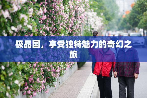 极品国，享受独特魅力的奇幻之旅
