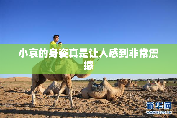 小哀的身姿真是让人感到非常震撼