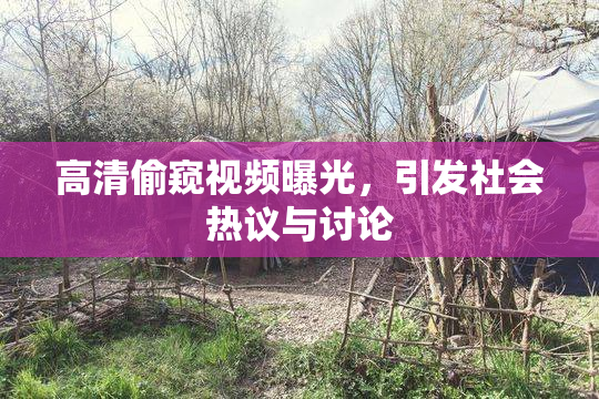 高清偷窥视频曝光，引发社会热议与讨论