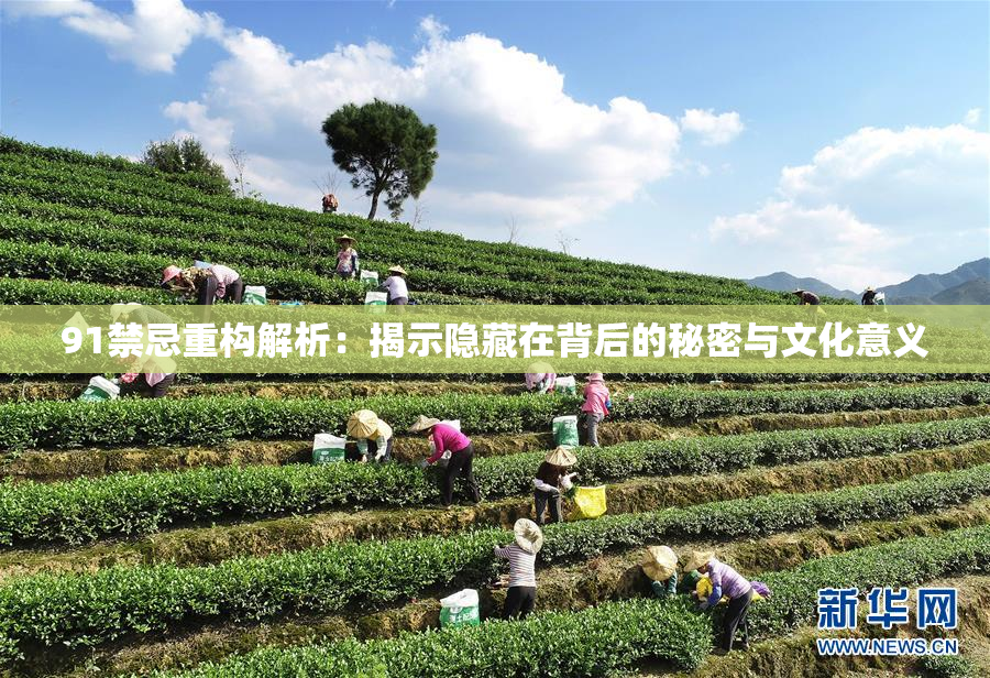 91禁忌重构解析：揭示隐藏在背后的秘密与文化意义