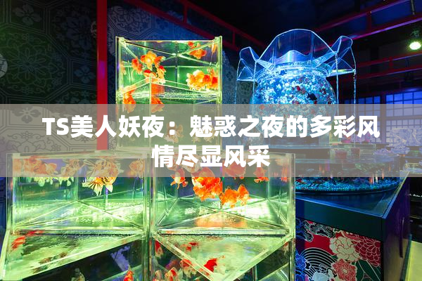 TS美人妖夜：魅惑之夜的多彩风情尽显风采