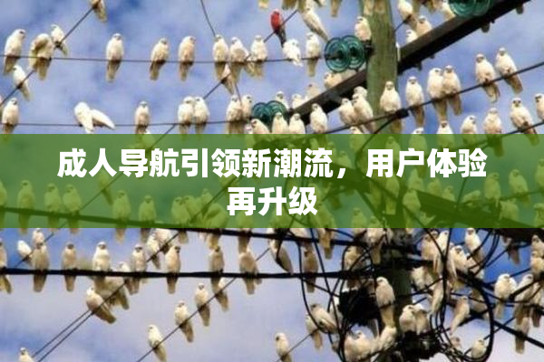 成人导航引领新潮流，用户体验再升级