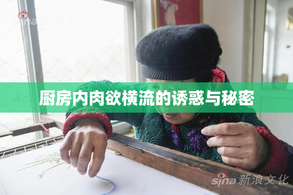 厨房内肉欲横流的诱惑与秘密