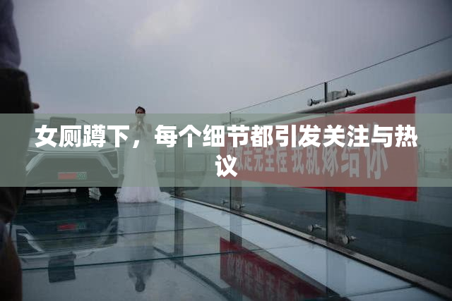 女厕蹲下，每个细节都引发关注与热议