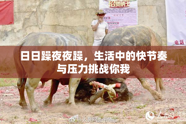 日日躁夜夜躁，生活中的快节奏与压力挑战你我