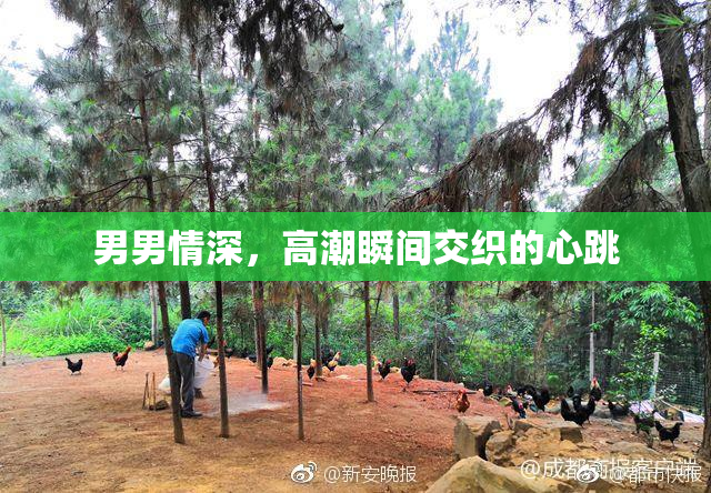 男男情深，高潮瞬间交织的心跳
