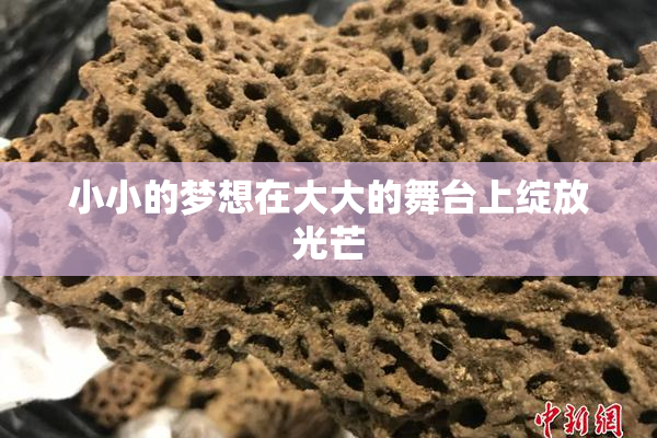 小小的梦想在大大的舞台上绽放光芒
