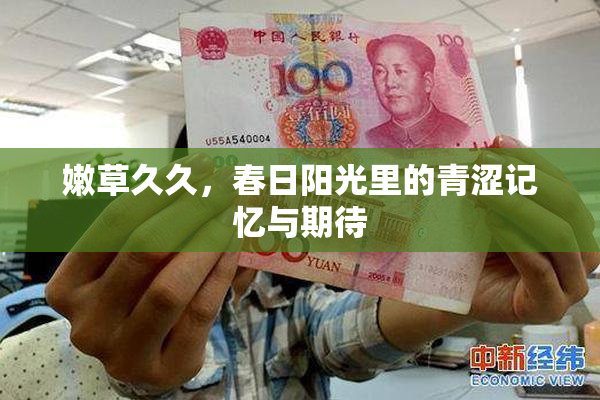 嫩草久久，春日阳光里的青涩记忆与期待