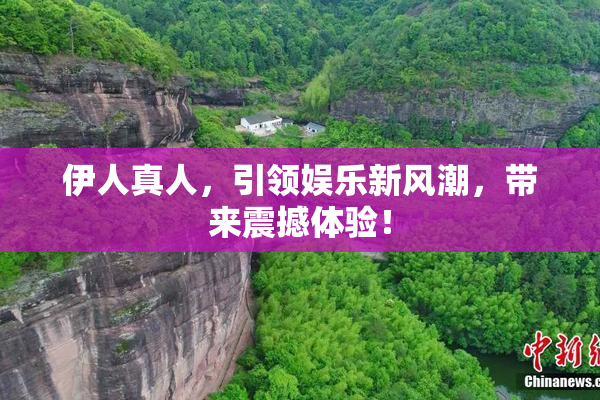 伊人真人，引领娱乐新风潮，带来震撼体验！