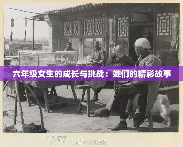 六年级女生的成长与挑战：她们的精彩故事
