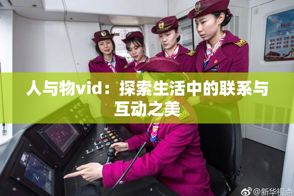 人与物vid：探索生活中的联系与互动之美